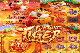 cnc bet cnc bet